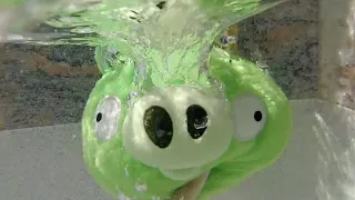 King Pig Takes a Splash Underwater!