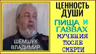 ЦЕННОСТЬ ДУШИ  ПИЩА И ГАВВАХ  МУЧЕНИЯ ПОСЛЕ СМЕРТИ.  Владимир Шемшук