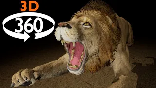 VR 360 - Attacked by Lions (and More) - 3D 4k