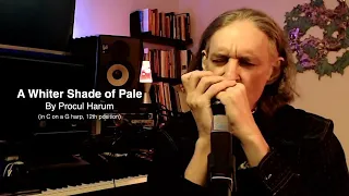 A Whiter Shade of Pale | Howard Levy Harmonica | Procul Harum