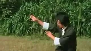 Yuen Biao - Kung Fu Tribute