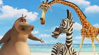 DreamWorks Madagascar | San Diego!? - Madagascar Movie Clip | Madagascar | Kids Movies | Kids Videos