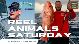 Reel Animals Saturday Morning Radio show! | https://ReelAnimals.com