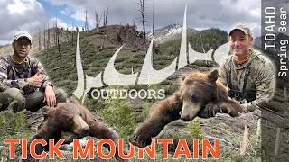 Tick Mountain | 2023 Idaho Spring Bear