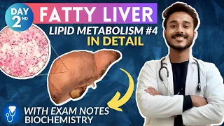 fatty  liver biochemistry | causes of fatty liver biochemistry | lipid metabolism biochemistry