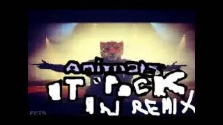 Martin Garrix-Animals(lp-bangerz remix)