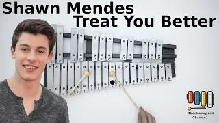 Shawn Mendes - Treat You Better💗🎺on the Glockenspiel (BELLs)  🎧