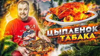 ПЕЛЬМЕНЬ ГОТОВИТ/ ЦЫПЛЁНОК ТАБАКА ПРОСТО РЕЦЕПТ