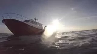 Diving Eddystone Lighthouse & Hand deeps