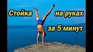 ZШ №11 Стойка на руках за 5 минут