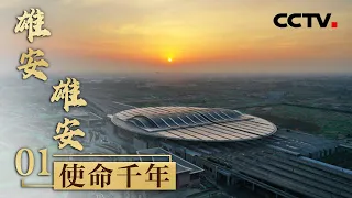 把雄安地铁开进北京！预计不久之后雄安到大兴机场仅需20分钟「雄安 雄安」第一集 | CCTV财经