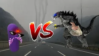 Beanos VS Goji 2014 dc2