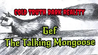 Cold Truth Dark Reality - Gef The Talking Mongoose