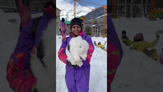 Manali முயல்🐹☃️ #manali #trending #viral #youtubeshorts #shortsfeed #shortvideo