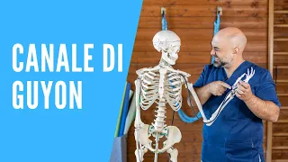 Formicolio e dolore al mignolo? la sindrome di Guyon! Consigli e rimedi!