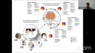 Microflora of milk and milk products