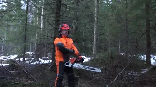 Metsolan Metsäkoulu 88, Mökkisahurin 5 riskikohtaa