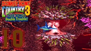 Donkey Kong Country 3: Dixie Kong's Double Trouble! - Part 10 - Forgotten Mountain