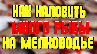 Вся рыба стоит и клюёт у берега Три секрета как наловить на мелководье много рыбы зимой