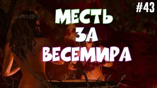 Ведьмак 3 Дикая Охота - Прохождение. Лысая гора. [Часть 43]