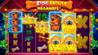 HUGE TOP SYMBOL HITS dog house megaways slot (INSANE WIN)