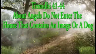 Tirmidhi 41-44: About Angels Do Not Enter The House That Contains An Image Or A Dog