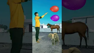 हाथी घोड़ा सेर बाघ एडिटिंग ग्रीनस्क्रीन video - magic vfx video #shorts #youtubeshorts #ramdyalmali