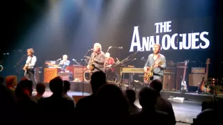 The Analogues - I wanna hold your hand