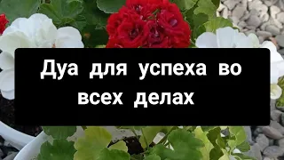 Дуа для успеха во всех делах