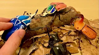 【Gachapon in Japan】beetles capsule toy