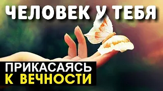 Человек у тебя - Прикасаясь к вечности - Пётр Бальжик