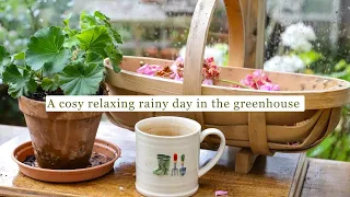 Relaxing rain drops and a cosy afternoon in the greenhouse 🌧️