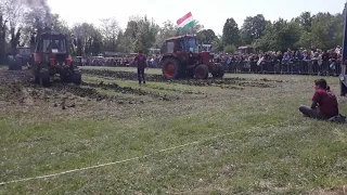 8. Szarvasi Veterán Gép és Járműtalálkozó Mtz 82 vs Mtz 82