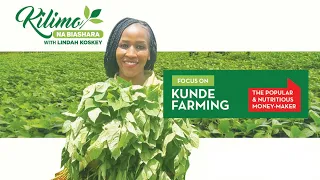 Focus on Kunde Farming | Kilimo na Biashara