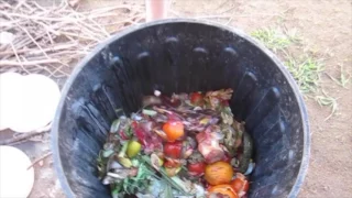 How to start a compost bin