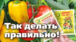 ИСПОЛЬЗУЙТЕ ЭПИН И ЦИРКОН ТОЛЬКО ТАК, ЧТОБЫ ПОЛУЧИТЬ УРОЖАЙ!