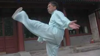 Chuojiao Fanzi Quan Fist :: Beijing Milun Kungfu School