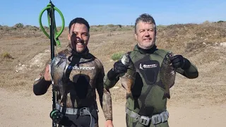 Insane Shore Dive! | SPEARFISHING | JACOBS BAY
