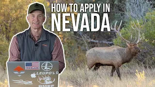 Unlocking Nevada's Big Game Hunts | How to Apply!