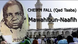 CHEIKH FALL Qad Taaba Mawahibou Naafih