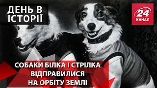 День в історії. Собаки Білка і Стрілка відправилися на орбіту Землі