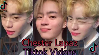 Chester Lapaz Tiktok Videos Compilation 11-12