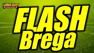 01 HORA DE FLASH BREGA - SÓ AS RELÍQUIAS DE OURO DO FUNDO DO BAÚ - SÓ AS SELECIONADAS