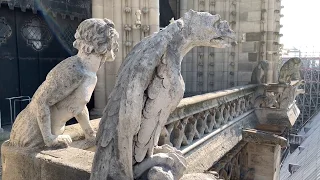 The Bells of Notre-Dame de Paris - April 14, 2019 Day Before Fire