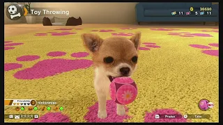 Little Friends: Dogs & Cats Nintendo Switch Gameplay