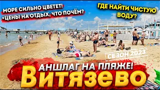 #Анапа ВИТЯЗЕВО - Я ОБАЛДЕЛ! МАССОВЫЙ ЗАЕЗД ТУРИСТОВ! ПЛЯЖИ - БИТКОМ. МОРЕ СЕГОДНЯ ШОКИРУЕТ ВОДА +23