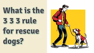 What is the 3 3 3 rule for rescue dogs?