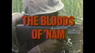 PBS Frontline: The Bloods of 'Nam (1986)