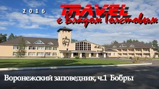 Воронежский заповедник (ч.1 Бобры) - Travel с Владом Толстовым