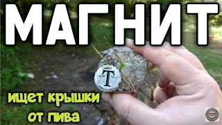 Тихая охота - поисковый магнит собирает крышки в осеннем лесу